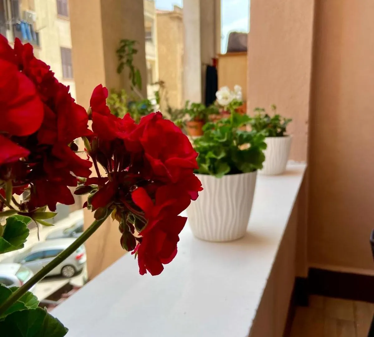 Sicilia Bedda Room'S Palermo Gasthof